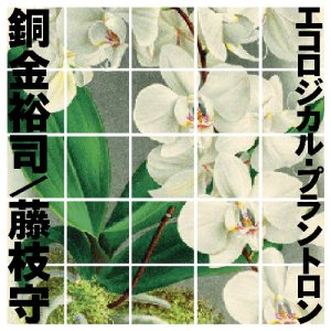 Photo: Yuji Dogane, Mamoru Fujieda [ Ecological Plantron ] 2CD set