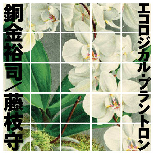 Photo1: Yuji Dogane, Mamoru Fujieda [ Ecological Plantron ] 2CD set (1)