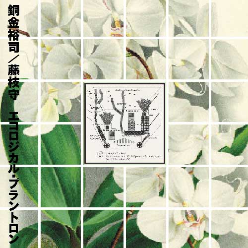 Photo1: Yuji Dogane, Mamoru Fujieda [ Ecological Plantron ] LP (1)